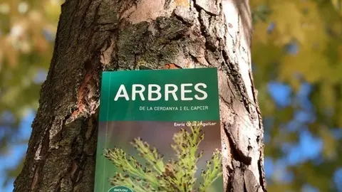 arbredes-cerdanya-capcir-1170x420