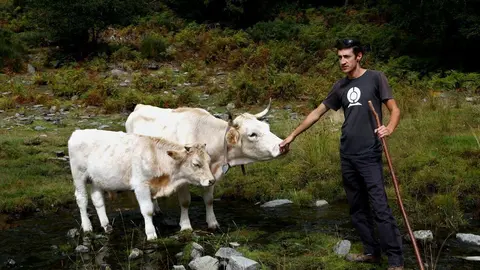 Pla general d'Ignasi Sinfreu, criador de vaca pallaresa, amb dos exemplars d'aquest animal. Imatge del 27 de setembre del 2021. (Horitzontal)