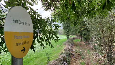 Camí de Parrota Anserall