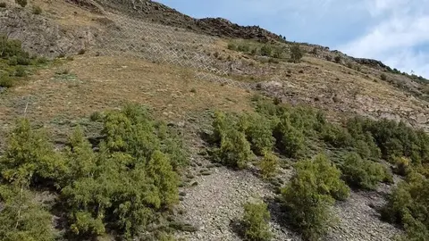 Pla obert de les noves barreres paraallaus instal&middot;lades al tal&uacute;s de l'aparcament de l'anomenada Pleta del Prat, a l'estaci&oacute; d'esqu&iacute; de Tavascan. Imatge de l'11 d'octubre de 2021. (Horitzontal)