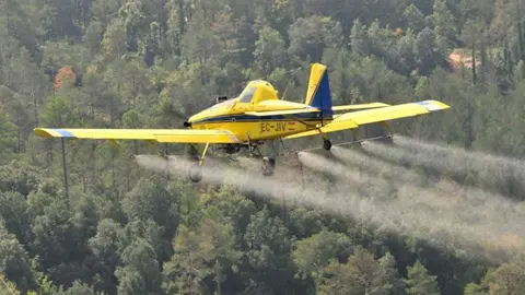 Fumigaci&oacute; boscos de pi al prepirineu i pirineu