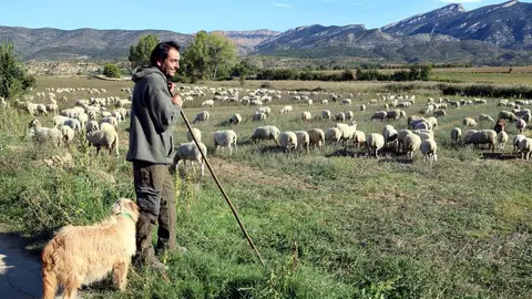 Pla general d'un pastor amb el seu ramat que oferir&radic;&dagger; que el visitant es converteixi en pastor per un dia a Basturs. Imatge del 3 d'octubre del 2018. (horitzontal)