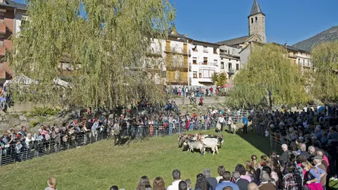 Fira de tardor de Sort