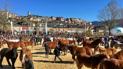 Fira i Concurs cavall Puigcerdà 2021