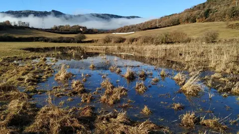 Pla general dels aiguamolls de Peramea, a Baix Pallars. (Horitzontal)