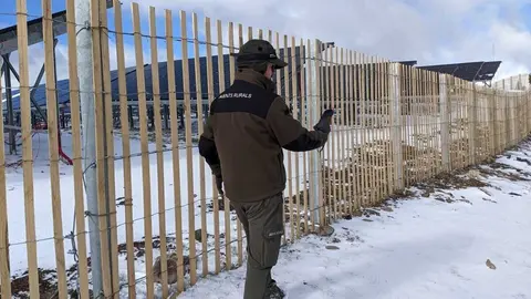 Pla general d'un efectiu dels Agents Rurals davant de la construcci&oacute; d'un parc solar a la zona del Planell de la Tosa. Imatge cedida el 17 de novembre del 2021 (Horitzontal)