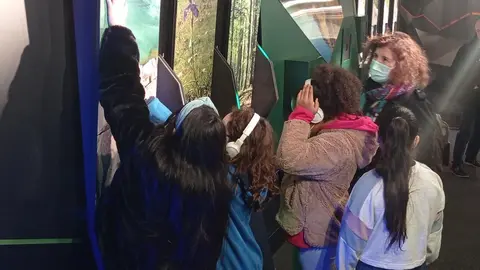 Pla americ&agrave; de la secret&agrave;ria d'Acci&oacute; Clim&agrave;tica, Anna Barnadas, durant la seva visita al Piribus al Parc del F&ograve;rum de Barcelona acompanyada per un grup d'escolars. Imatge del 18 de novembre de 2021. (Vertical)