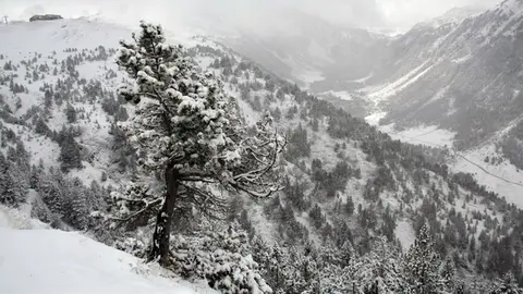 Risc d'allaus a l'Aran