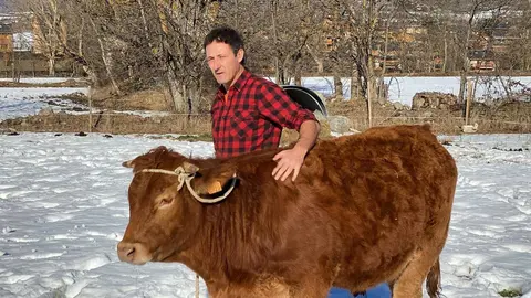 Pla mitj&agrave; de Venanci Agust&iacute;, ramader de Ll&iacute;via (Cerdanya), acariciant un brau que t&eacute; a la seva explotaci&oacute;. Imatge del 16 de desembre de 2021. (Horitzontal)