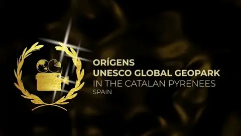 GGN film festival_ winners