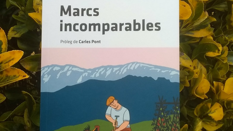 Marcs incomparables Albert Villar&oacute; portada 2
