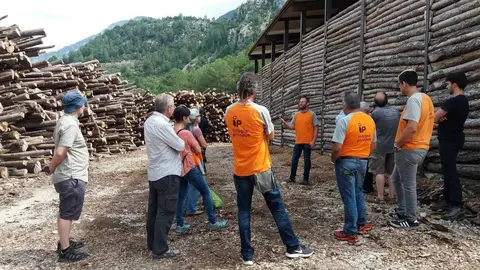 gesti&oacute;_forestal