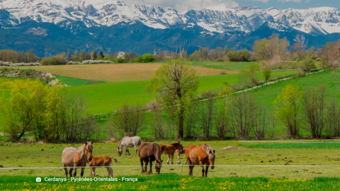 Turisme Cerdanya projecte transfronterer