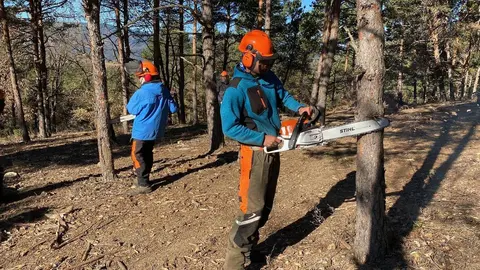 Integra Pirineus Sos al Bosc