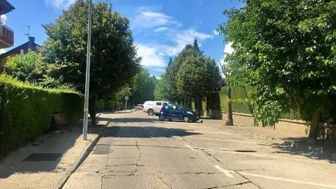 Cam&iacute; antic de Ll&iacute;via de Puigcerd&agrave;