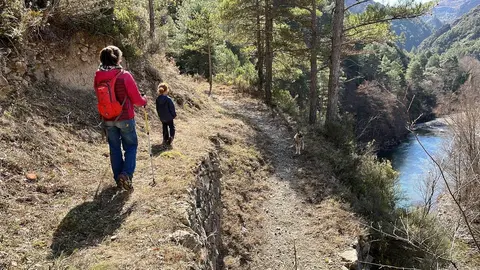 Cam&iacute; d'Arcal&iacute;s a Arbol&oacute;