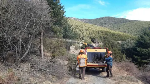 Pista forestal a Rod&eacute;s
