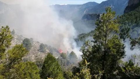 Incendi vegetaci&oacute; Montanissell