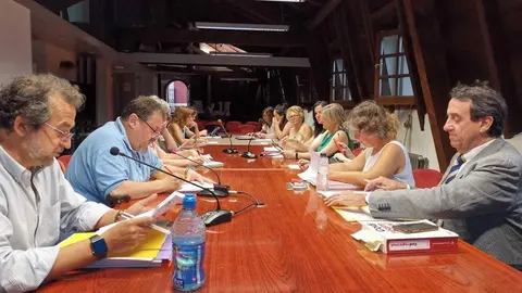 Ple Consell juny 2022
