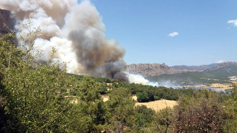 Incendi Peramola Oliana