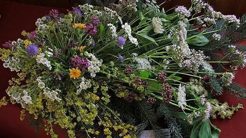 Concurs de rams de flors de muntanya