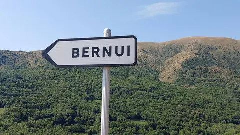Bernui