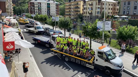 Gruistes Pirineu 1