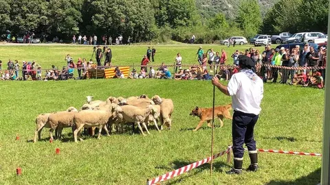 concursgossosaturallavorsi2018pg