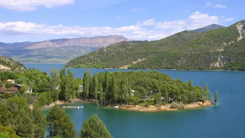 Pant&agrave; de Sant Antoni 2