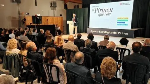 Agenda Pirineu 2030 RETALLADA