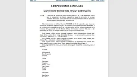 BOE correccions