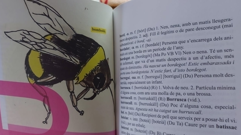 Diccionari Ribagor&ccedil;&agrave;