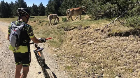 ciclista Montenartr&oacute; Jaume Teixid&oacute;
