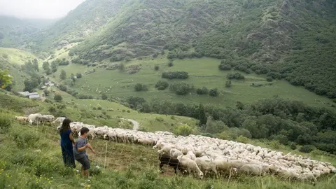 Ramat Vall d'&Agrave;ssua