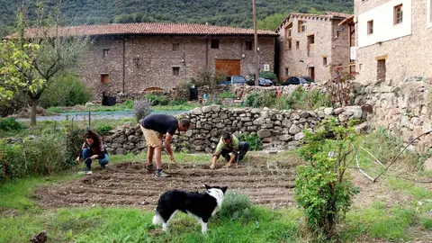 Balestui habitatge 1