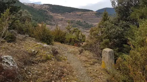 Arcavell