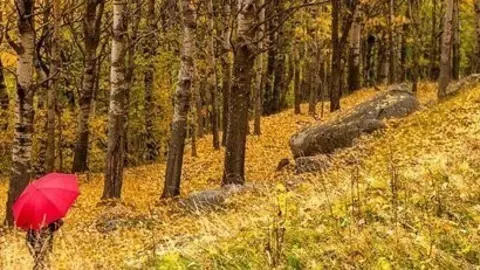 Tardor Vall de Bo&iacute; 2
