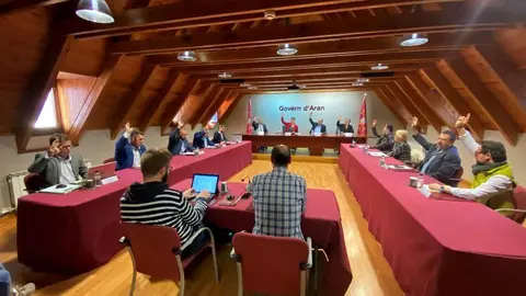 Conselh Generau d'Aran aran&egrave;s