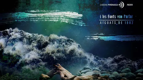 Cartell 'I les fonts van parlar'-