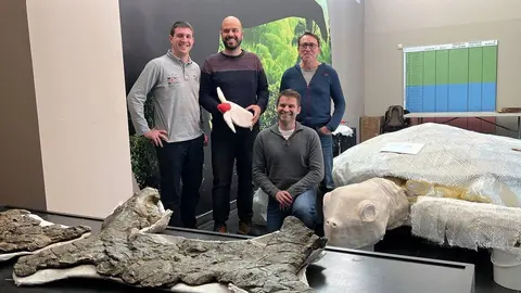 Dinosfera 1