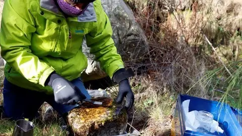 Pl&agrave;stics rius Pirineu