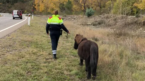 Mossos Poni la Pobla