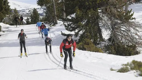 Tot N&ograve;rdic