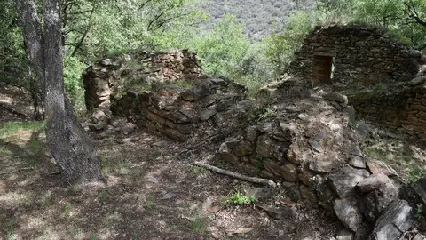 Costoja1