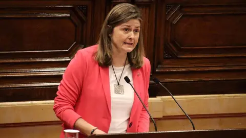 Aran&egrave;s llengua ensenyament parlament 1