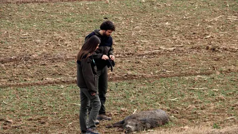 Agents Rurals fauna salvatge tr&agrave;nsit 1