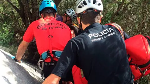 Mossos bosc