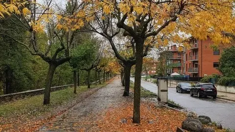 La Pobla Passeig Josep Borrell 2