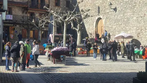 Tastet de Vilaller