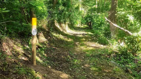 Cam&iacute; desbrossat 2